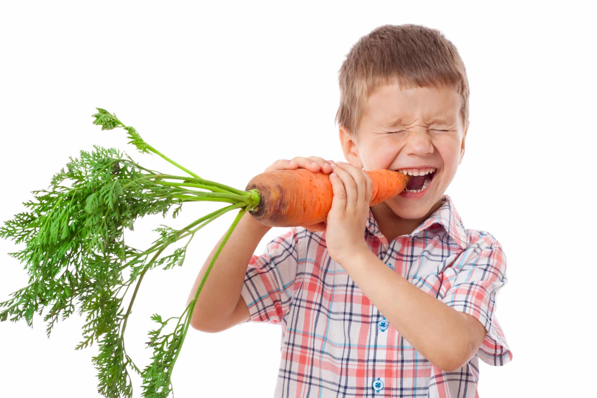 Тщательно. Овощи для детей. Мальчик ест морковку. Ребенок ест морковку. Мальчик с морковкой.