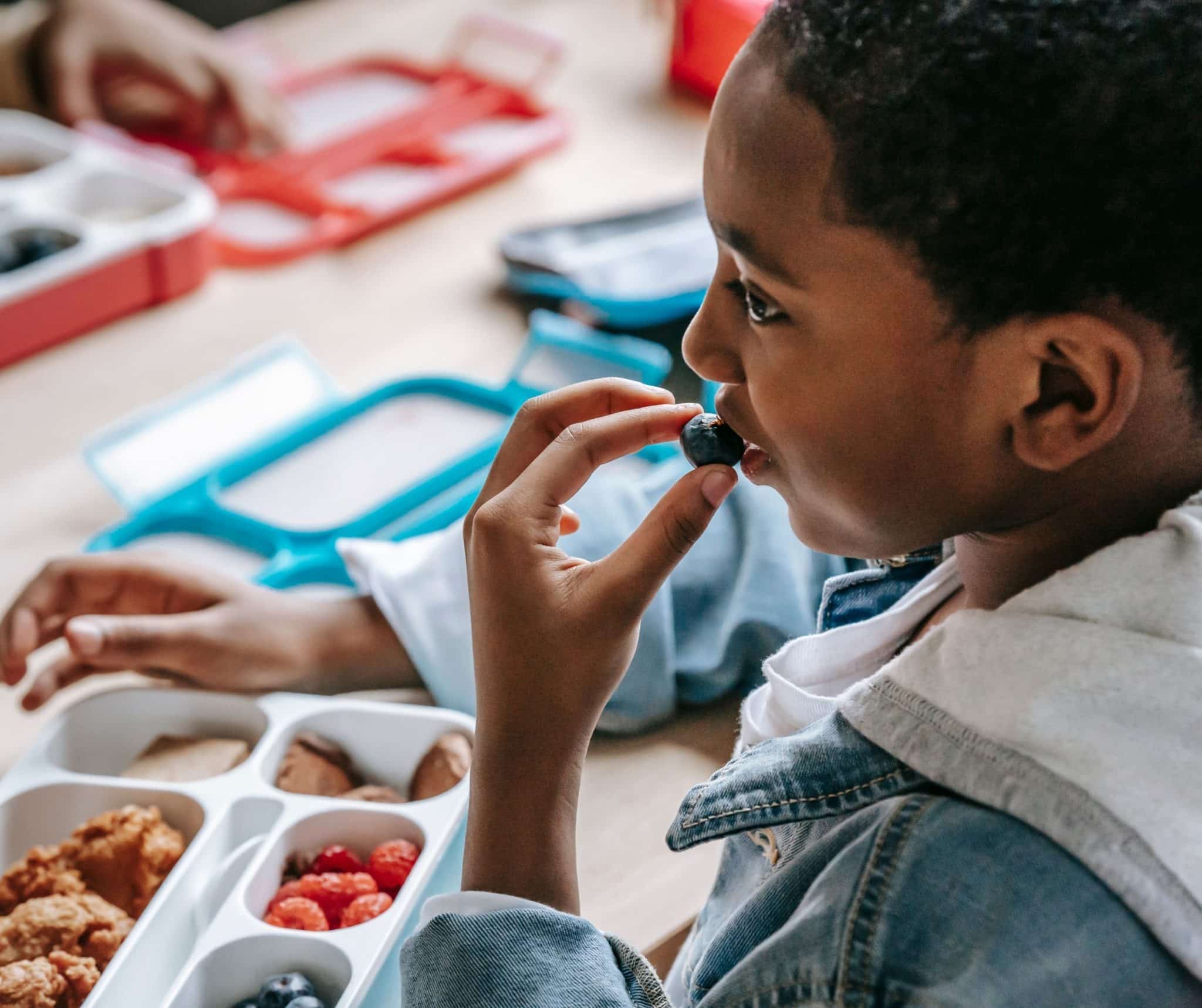 Easy to Chew Lunchbox Ideas SOS Approach to Feeding